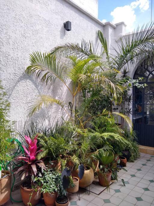 Casa Cuauhtemoc Βίλα Γκουανταλαχάρα Εξωτερικό φωτογραφία